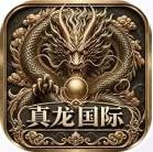 真龙国际
